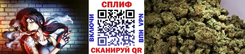 магазин  наркотиков  Сосенский  МАРИХУАНА марихуана 